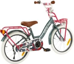 2Cycle Desire Kinderfiets - 18 Inch - Voordrager - Grijs - Meisjesfiets 10 2Cycle Desire Kinderfiets - 18 Inch - Voordrager - Grijs - Meisjesfiets -Winkel Voor Fietsbenodigdheden 1200x1049 2