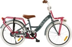 2Cycle Desire Kinderfiets - 20 Inch - Voordrager -Grijs-Roze - Meisjesfiets 11 2Cycle Desire Kinderfiets - 20 Inch - Voordrager -Grijs-Roze - Meisjesfiets -Winkel Voor Fietsbenodigdheden 1200x783 2