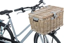 Basil Denton Fietsmand L - Voor - Rotan - Grijs - Large -Winkel Voor Fietsbenodigdheden 1200x804