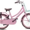 Valetta Cargo - Transportfiets - Meisjesfiets - 20 Inch - Mint Roze -Winkel Voor Fietsbenodigdheden 1200x833 3