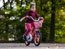 Amigo Magic Meisjesfiets - Kinderfiets 12 Inch - Roze -Winkel Voor Fietsbenodigdheden 1200x917 18