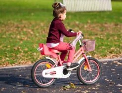 Amigo Magic Meisjesfiets - Kinderfiets 12 Inch - Roze -Winkel Voor Fietsbenodigdheden 1200x917 19