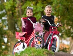 Amigo Magic Meisjesfiets - Kinderfiets 12 Inch - Roze -Winkel Voor Fietsbenodigdheden 1200x917 21